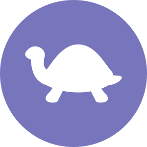 Turtle Type