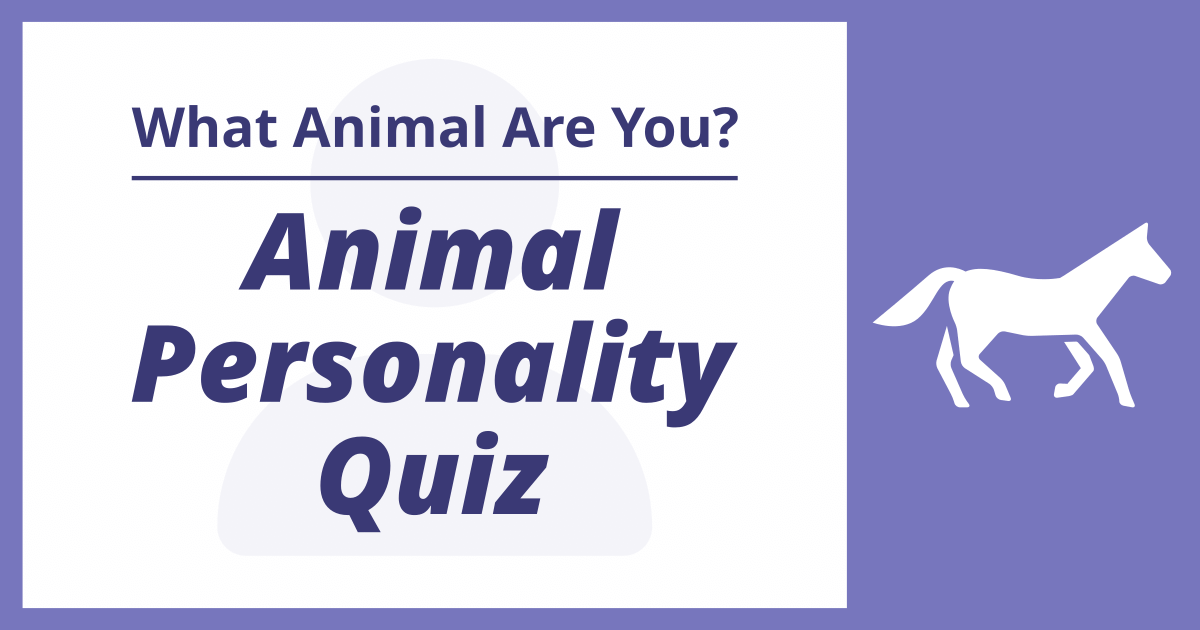 Animal Personality Quiz - What Animal Are You?