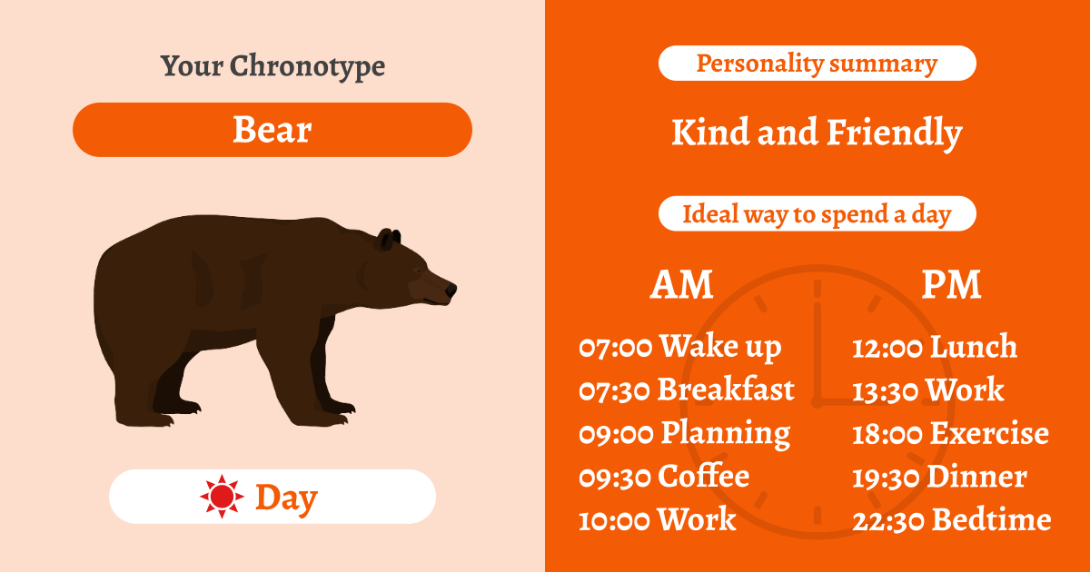 Bear Chronotype: Active at Noon