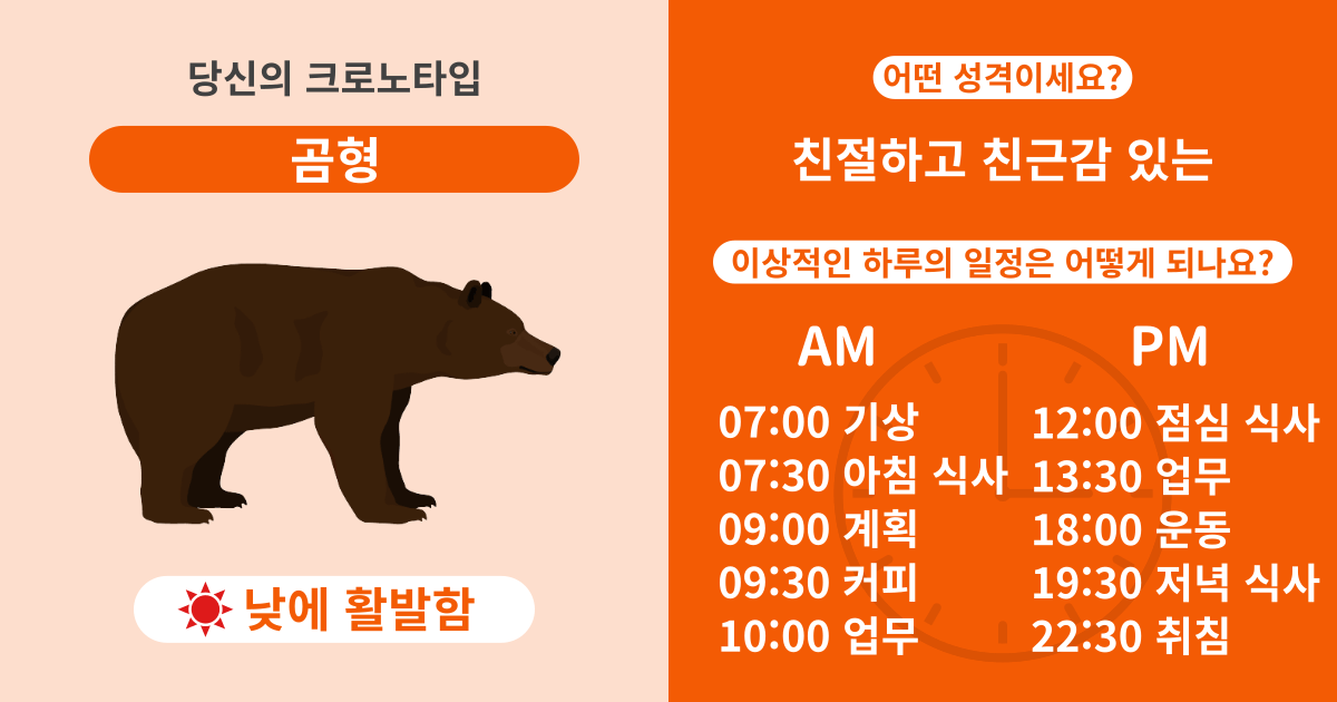 곰형: 낮에 활발함