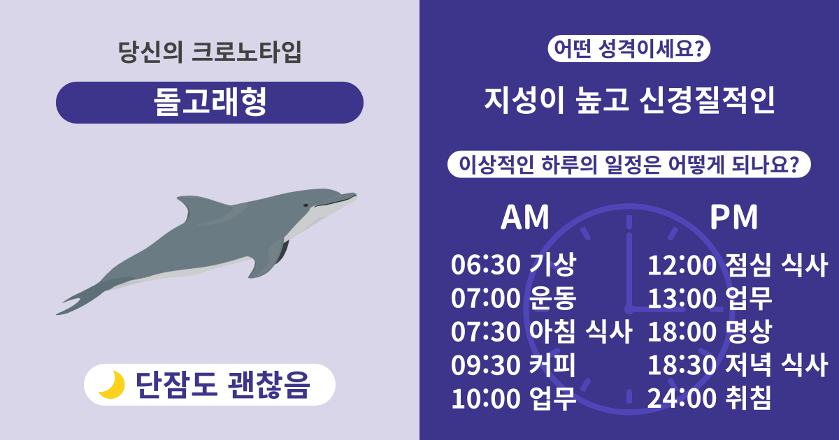 돌고래형: 단잠도 괜찮음