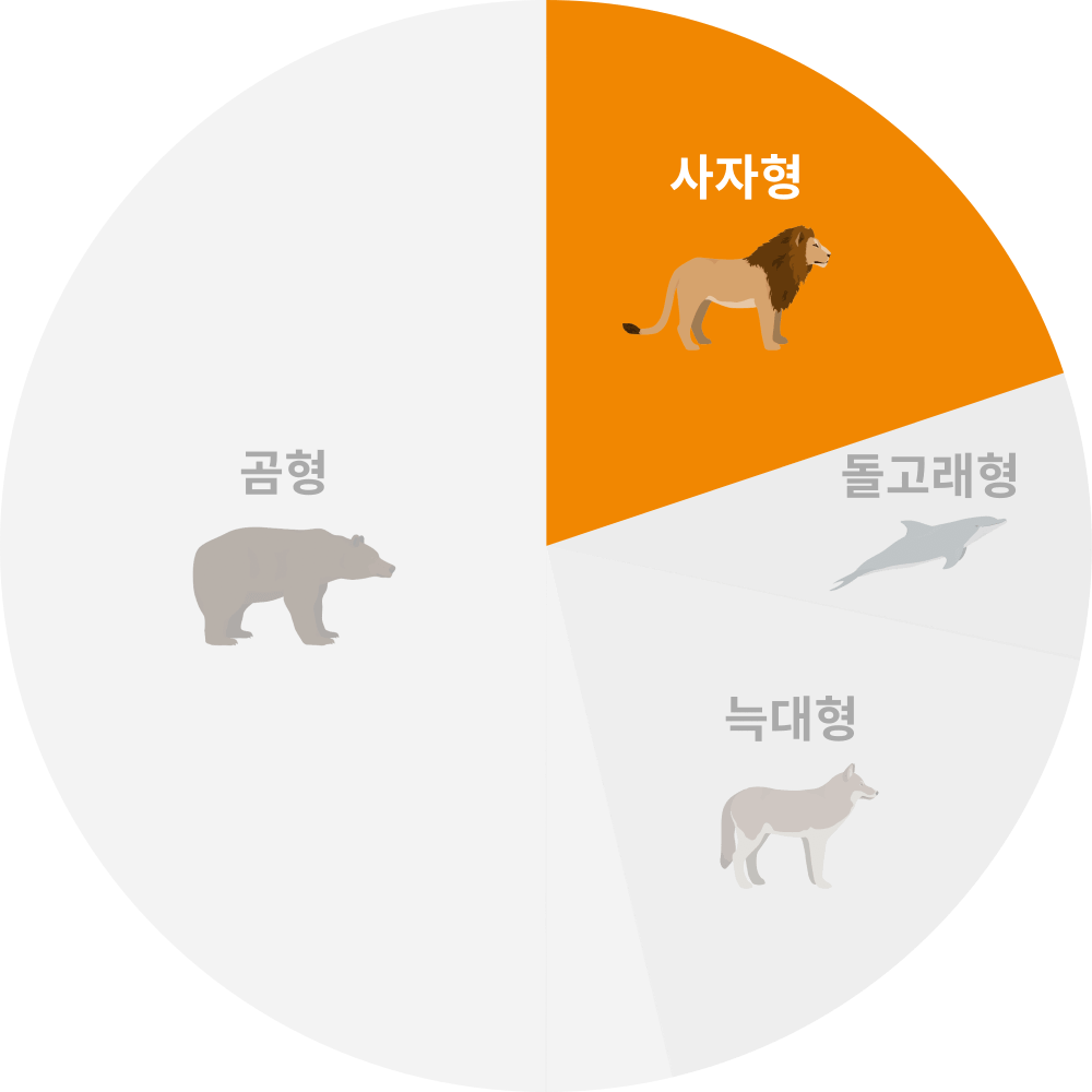 사자형 Ratio