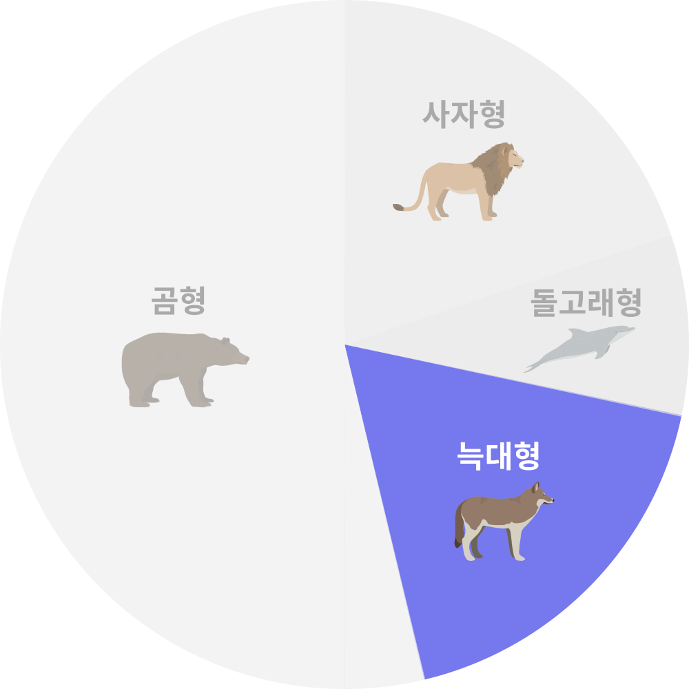 늑대형 Ratio