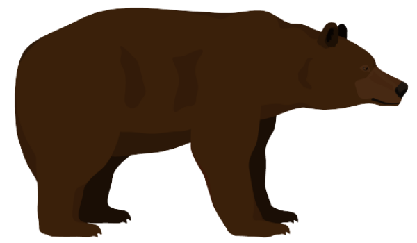 Bear Chronotype Figure