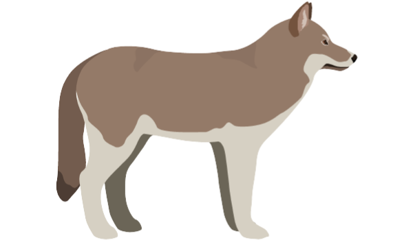 オオカミ型 Figure