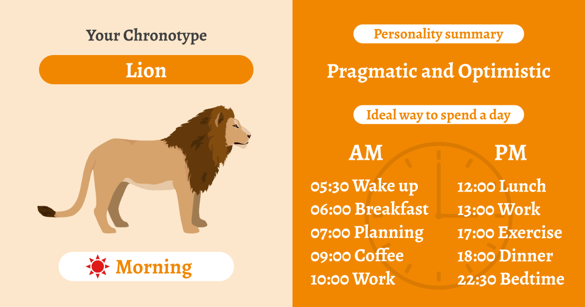 Lion Chronotype: Strong in the Morning
