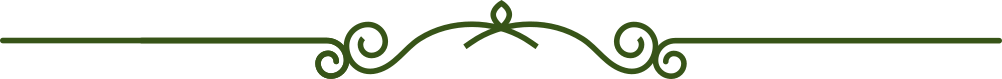 TYPE 6 line top