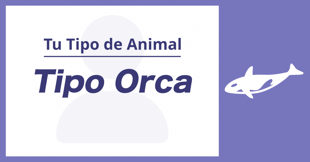 Tipo Orca