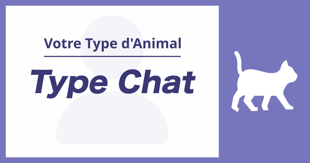 Type Chat