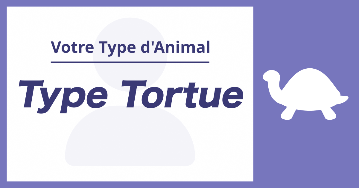 Type Tortue