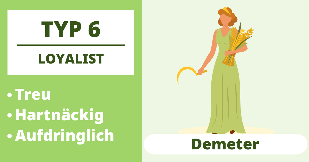Typ 6